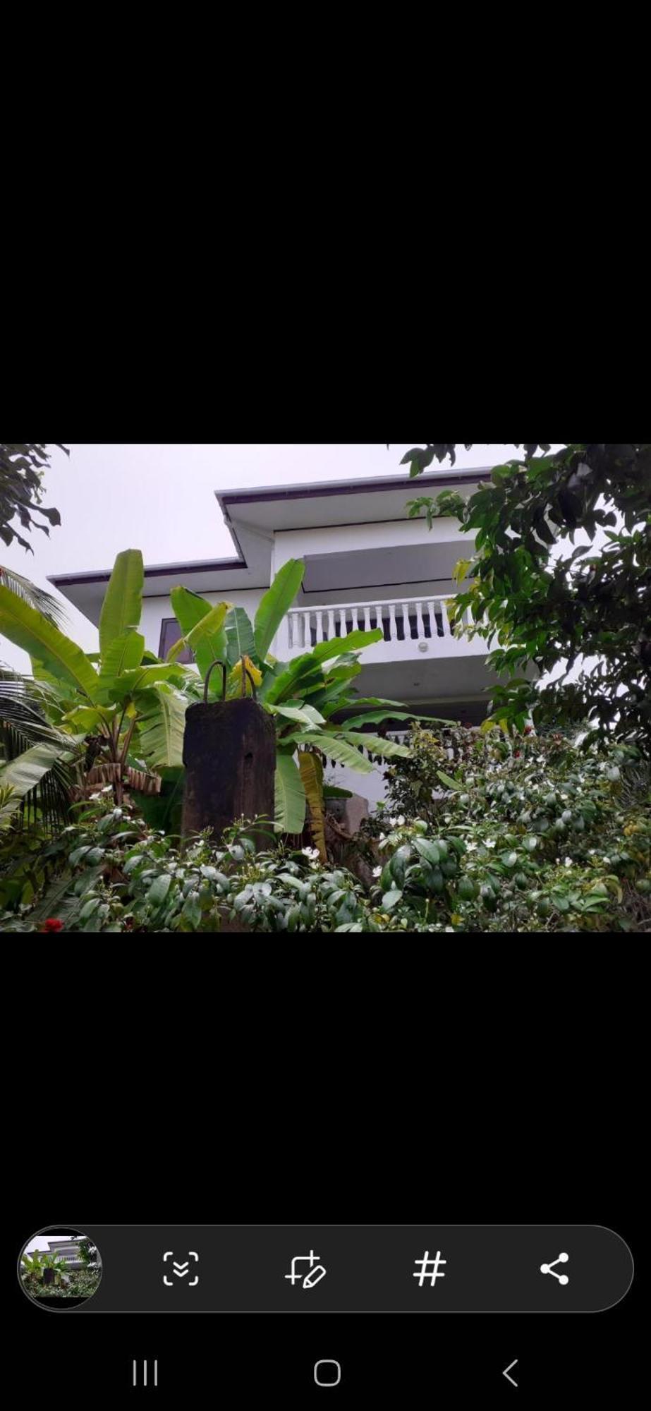 Gigi'S Self Catering Apartment Port Glaud 외부 사진